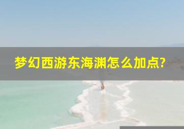 梦幻西游东海渊怎么加点?