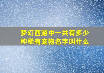 梦幻西游中一共有多少种稀有宠物名字叫什么