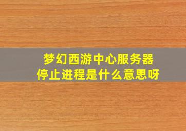 梦幻西游中心服务器停止进程是什么意思呀