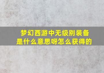 梦幻西游中无级别装备是什么意思呀怎么获得的