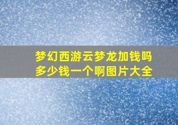 梦幻西游云梦龙加钱吗多少钱一个啊图片大全