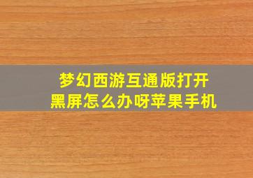 梦幻西游互通版打开黑屏怎么办呀苹果手机