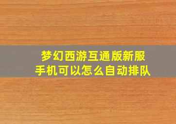 梦幻西游互通版新服手机可以怎么自动排队