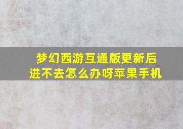 梦幻西游互通版更新后进不去怎么办呀苹果手机