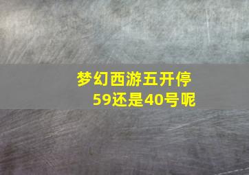 梦幻西游五开停59还是40号呢