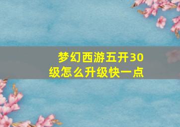 梦幻西游五开30级怎么升级快一点