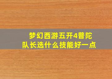 梦幻西游五开4普陀队长选什么技能好一点