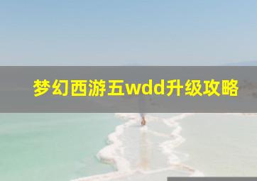 梦幻西游五wdd升级攻略