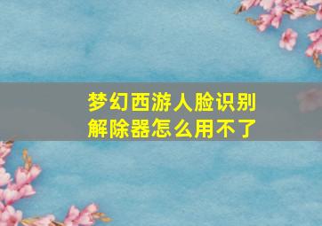 梦幻西游人脸识别解除器怎么用不了