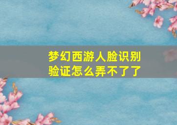 梦幻西游人脸识别验证怎么弄不了了