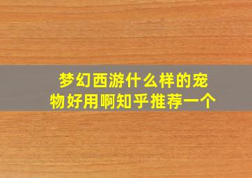 梦幻西游什么样的宠物好用啊知乎推荐一个