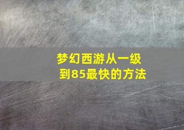 梦幻西游从一级到85最快的方法