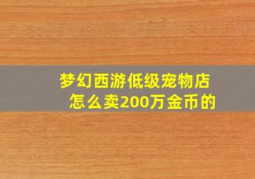 梦幻西游低级宠物店怎么卖200万金币的