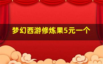 梦幻西游修炼果5元一个