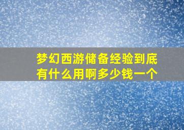 梦幻西游储备经验到底有什么用啊多少钱一个