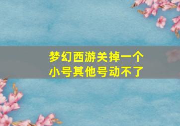 梦幻西游关掉一个小号其他号动不了