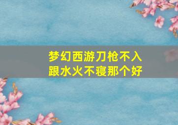 梦幻西游刀枪不入跟水火不寝那个好