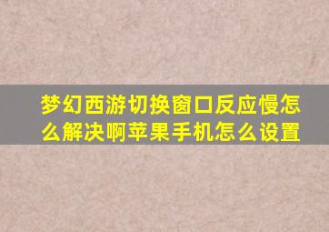 梦幻西游切换窗口反应慢怎么解决啊苹果手机怎么设置