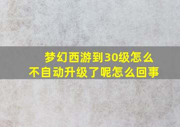 梦幻西游到30级怎么不自动升级了呢怎么回事