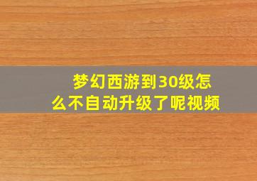 梦幻西游到30级怎么不自动升级了呢视频