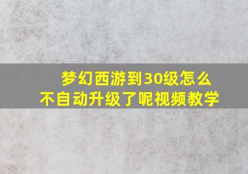 梦幻西游到30级怎么不自动升级了呢视频教学