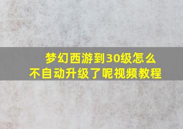 梦幻西游到30级怎么不自动升级了呢视频教程