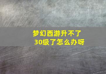 梦幻西游升不了30级了怎么办呀