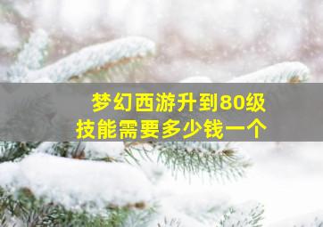 梦幻西游升到80级技能需要多少钱一个