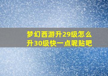 梦幻西游升29级怎么升30级快一点呢贴吧