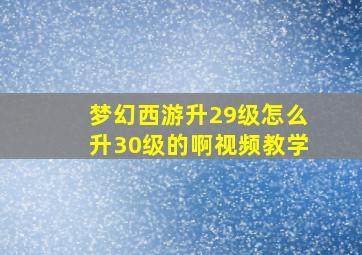 梦幻西游升29级怎么升30级的啊视频教学