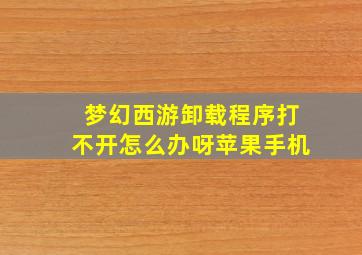 梦幻西游卸载程序打不开怎么办呀苹果手机