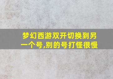 梦幻西游双开切换到另一个号,别的号打怪很慢