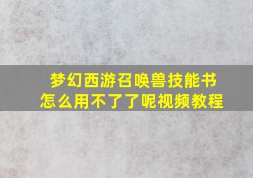 梦幻西游召唤兽技能书怎么用不了了呢视频教程