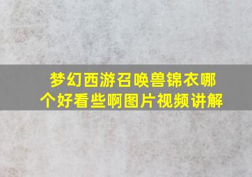 梦幻西游召唤兽锦衣哪个好看些啊图片视频讲解