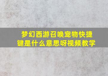 梦幻西游召唤宠物快捷键是什么意思呀视频教学