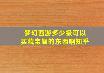 梦幻西游多少级可以买藏宝阁的东西啊知乎