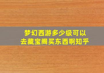 梦幻西游多少级可以去藏宝阁买东西啊知乎