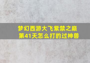 梦幻西游大飞紫禁之巅第41天怎么打的过神兽