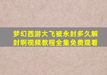 梦幻西游大飞被永封多久解封啊视频教程全集免费观看