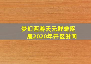 梦幻西游天元群雄逐鹿2020年开区时间