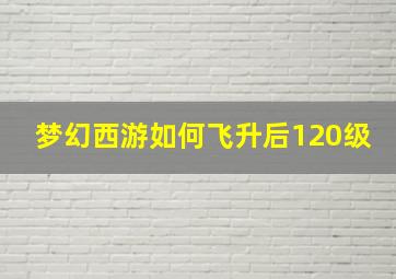 梦幻西游如何飞升后120级