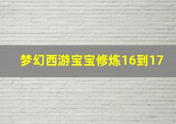 梦幻西游宝宝修炼16到17