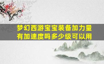 梦幻西游宝宝装备加力量有加速度吗多少级可以用