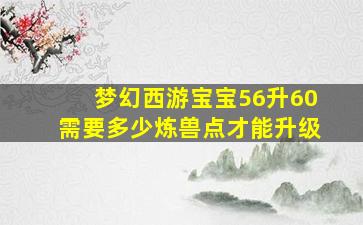 梦幻西游宝宝56升60需要多少炼兽点才能升级