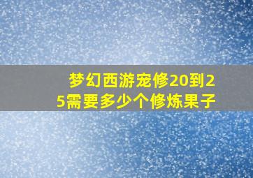 梦幻西游宠修20到25需要多少个修炼果子