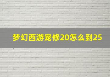 梦幻西游宠修20怎么到25