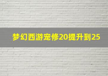 梦幻西游宠修20提升到25