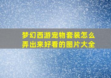 梦幻西游宠物套装怎么弄出来好看的图片大全