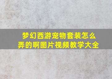 梦幻西游宠物套装怎么弄的啊图片视频教学大全