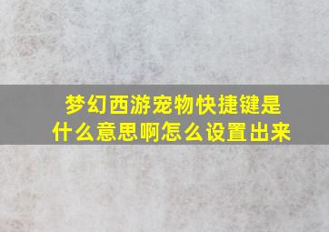 梦幻西游宠物快捷键是什么意思啊怎么设置出来